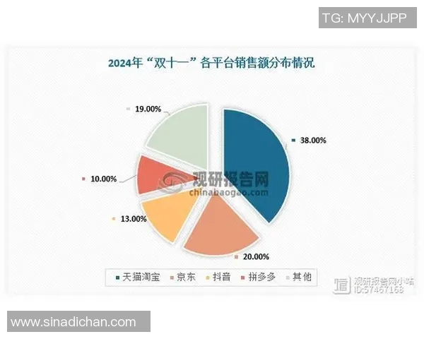 狂热与天猫的实力对比谁更胜一筹探讨电商平台的竞争力与发展潜力