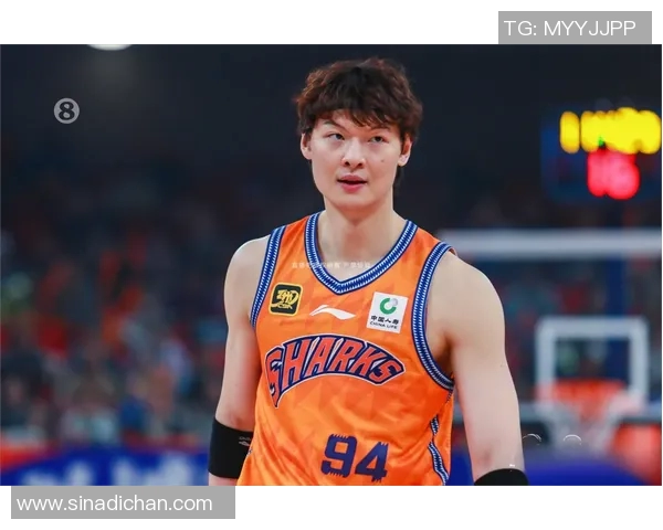 王哲林：从篮球新星到国家队核心的成长之路与未来展望